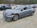Lexus ES 2020