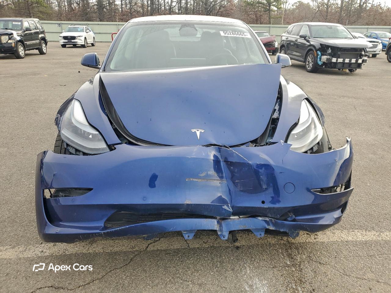 Tesla Model 3 2022
