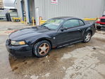 Ford Mustang 2004