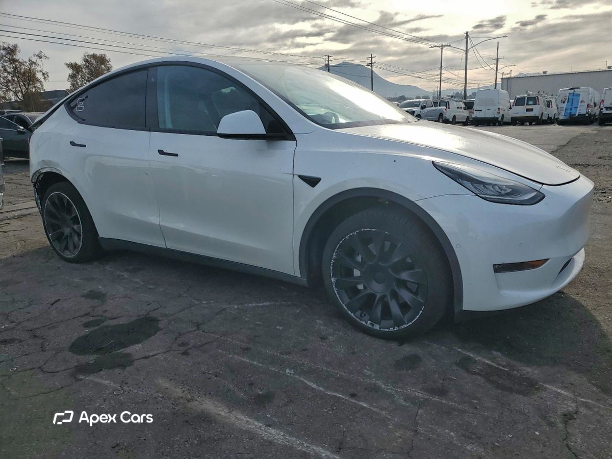 Tesla Model Y 2020