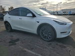 Tesla Model Y 2020