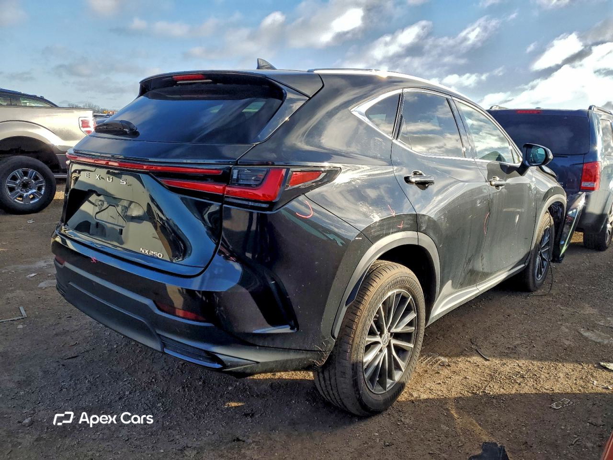 Lexus NX 2022