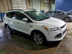 Ford Escape 2014