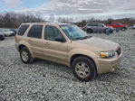 Ford Escape 2007
