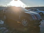 Cadillac SRX 2013