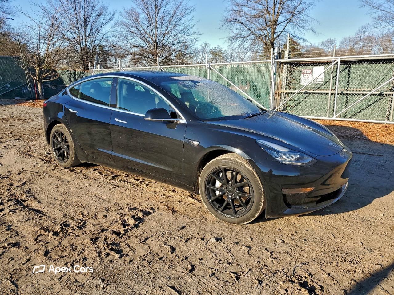 Tesla Model 3 2020