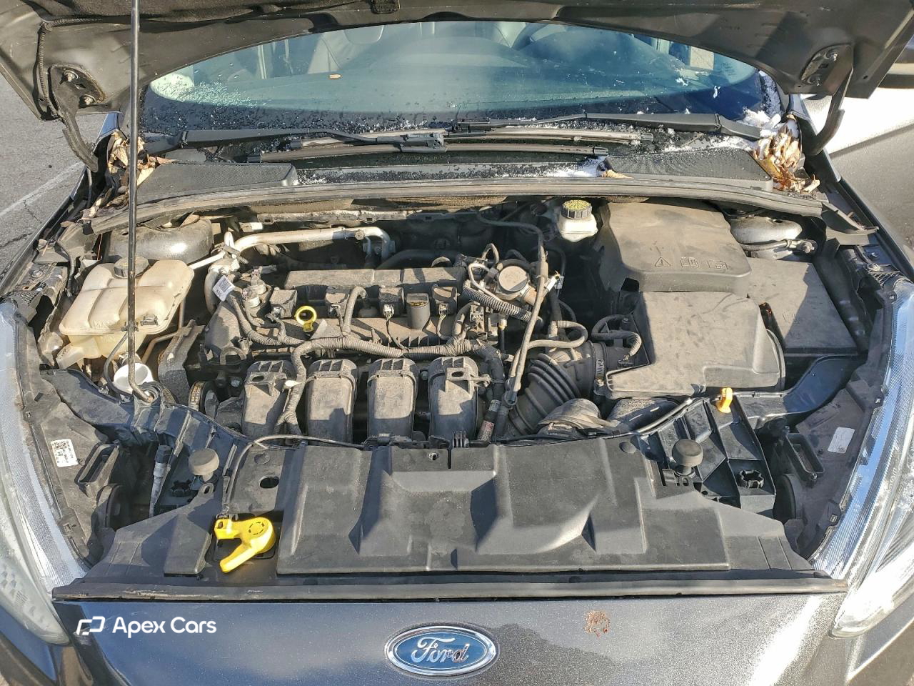 Ford Focus 2017