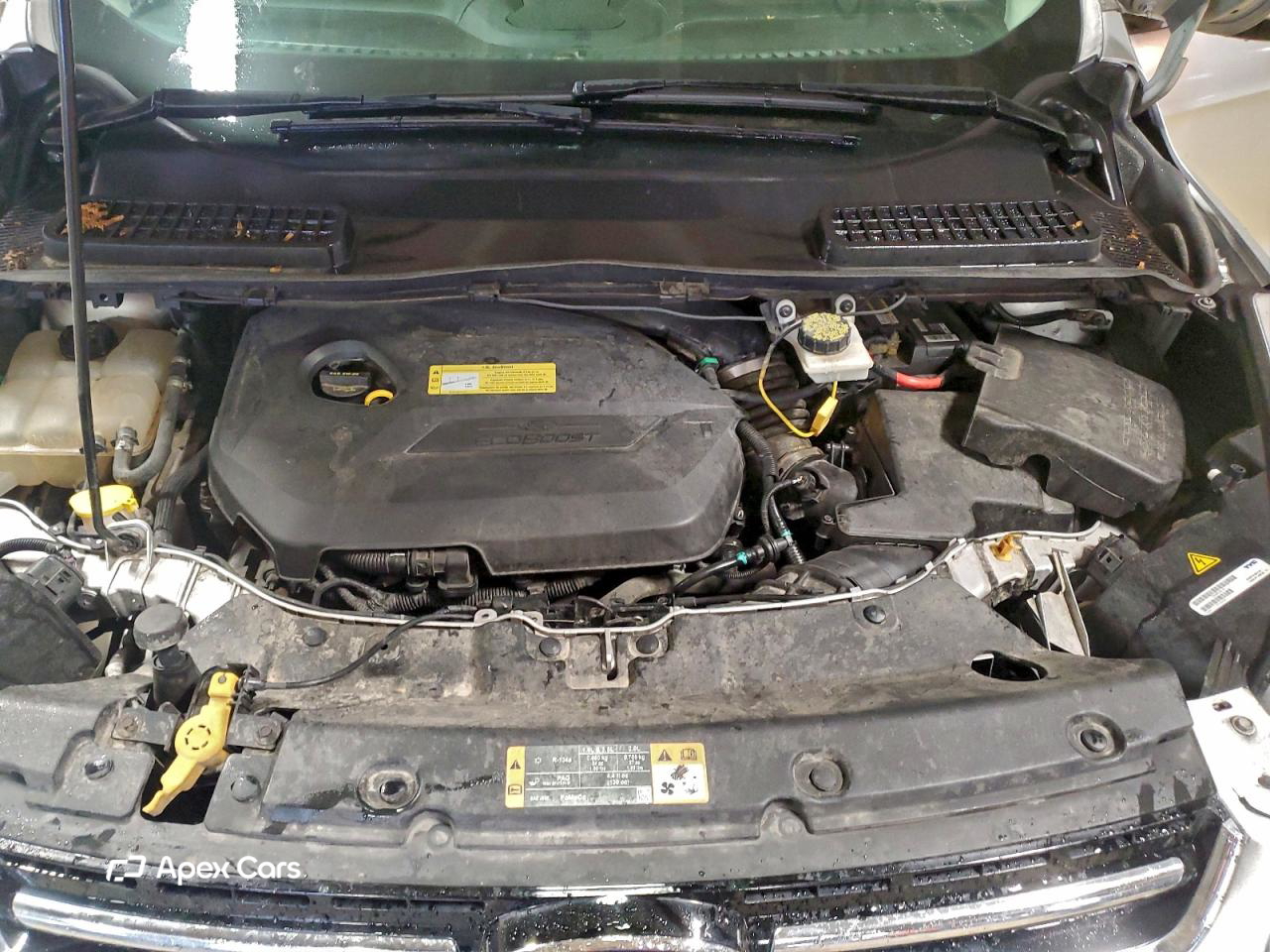 Ford Escape 2014