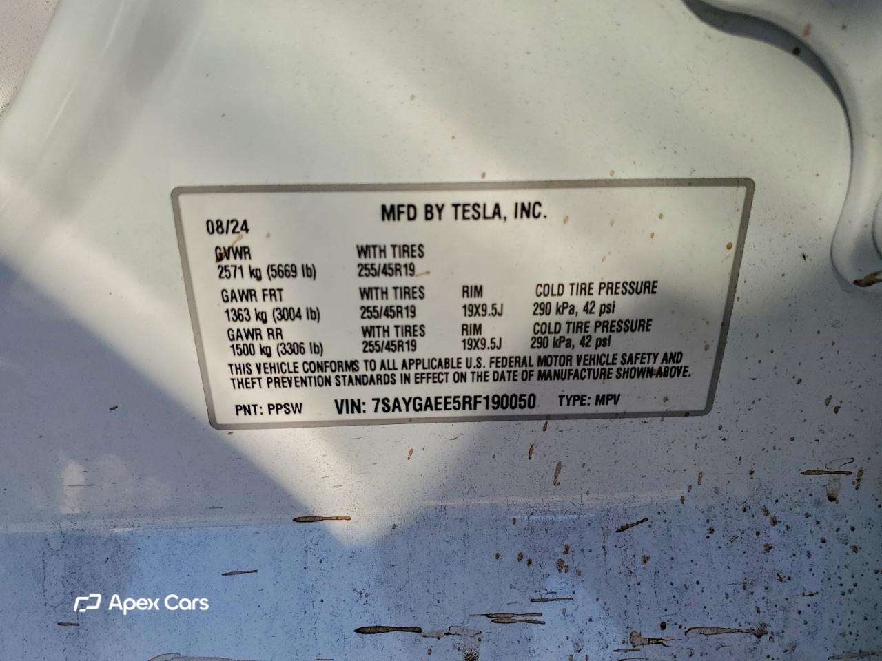 Tesla Model Y 2024