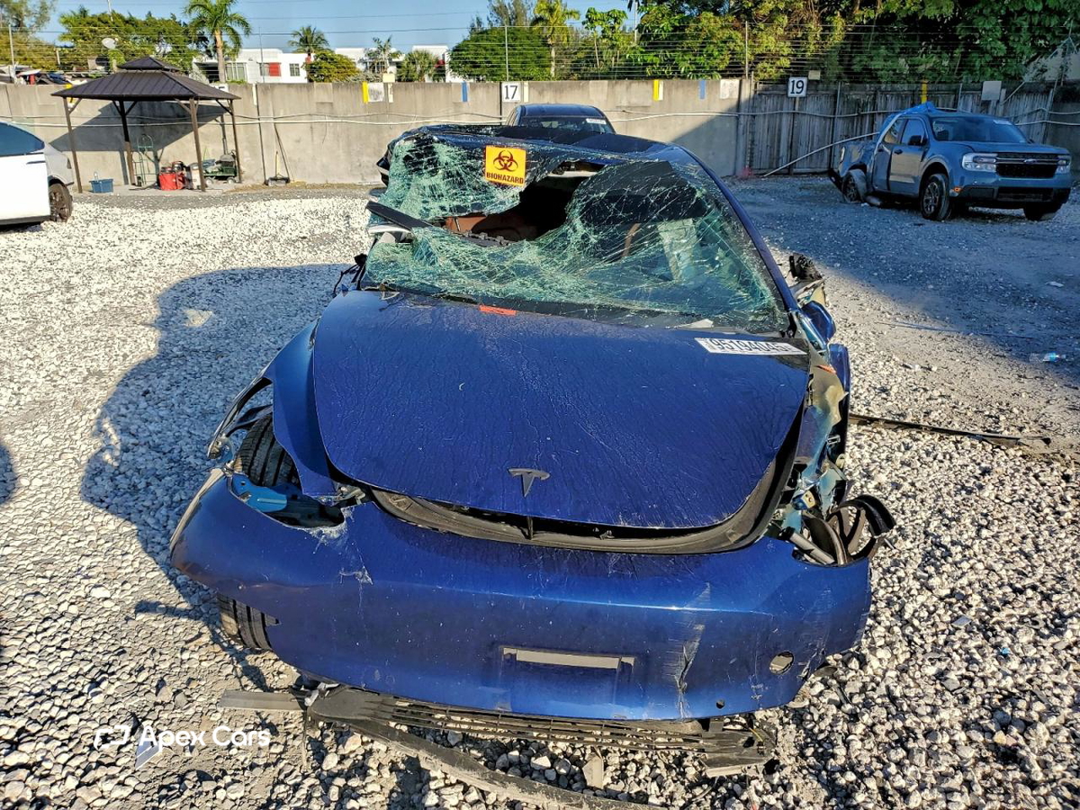 Tesla Model 3 2019