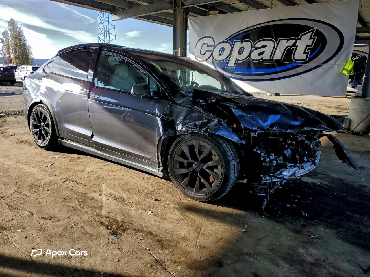 Tesla Model X 2023