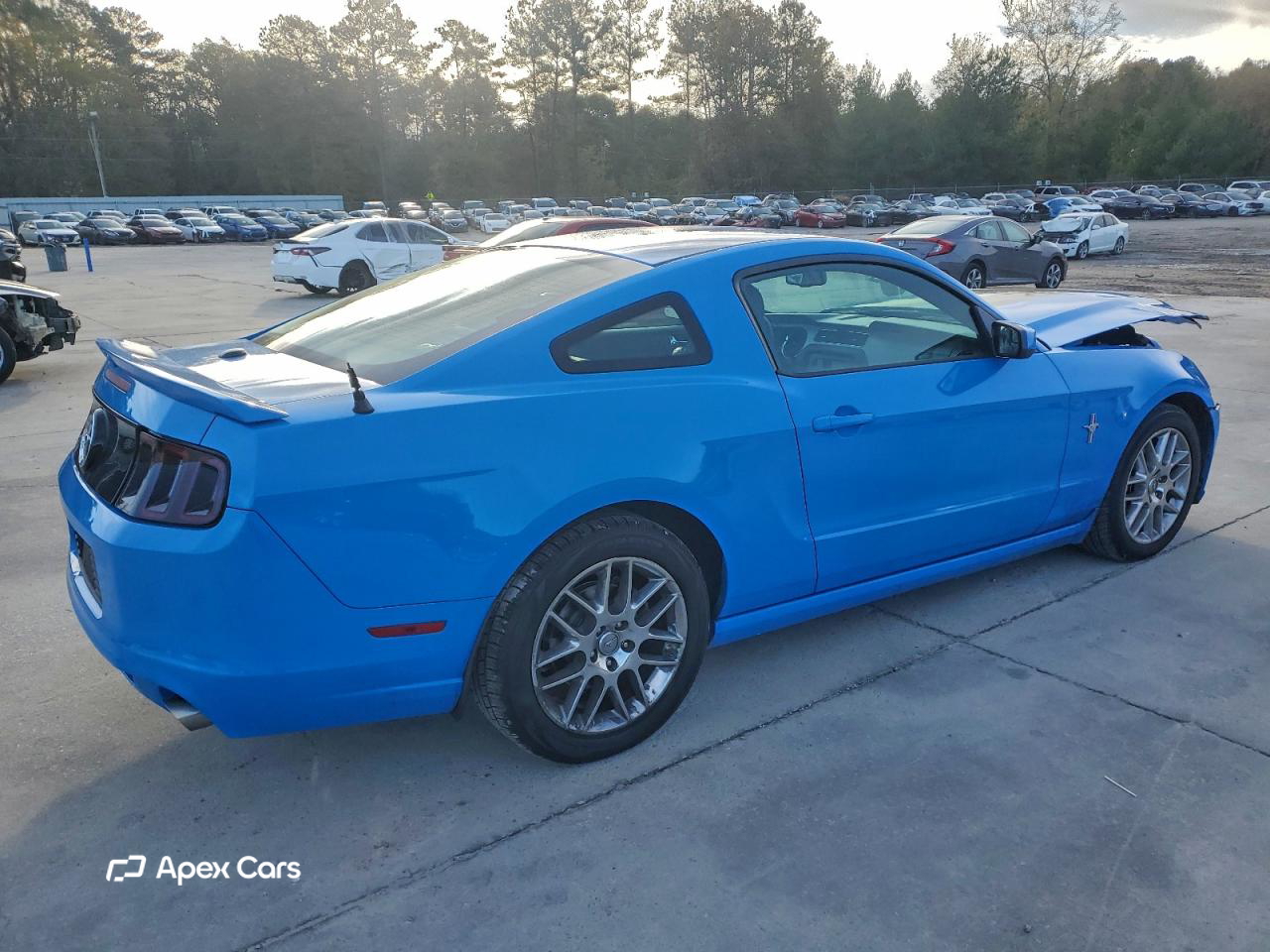 Ford Mustang 2013