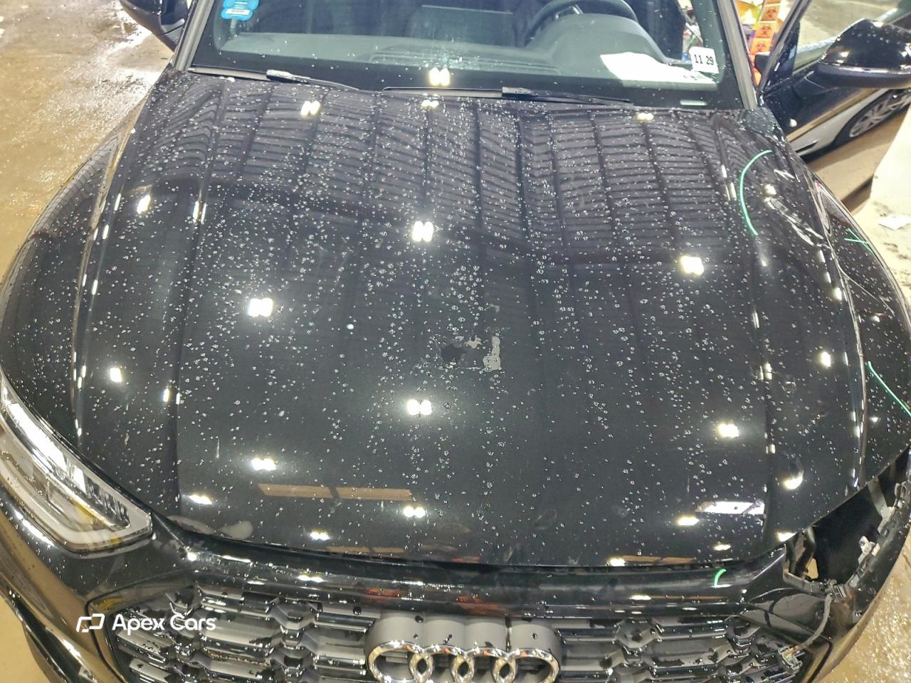 Audi Q5 2025