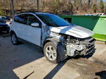Ford Escape 2013