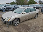 Nissan Maxima 2006