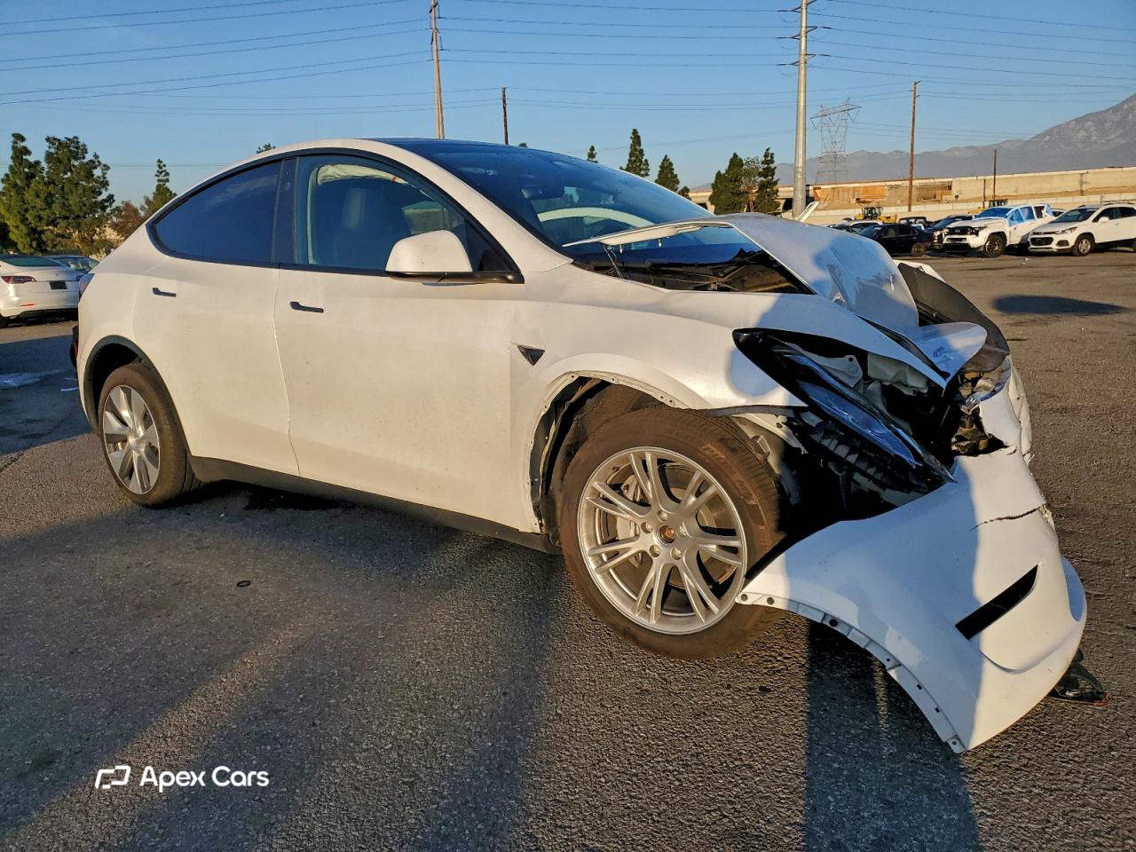 Tesla Model Y 2024