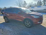 Ford Escape 2014