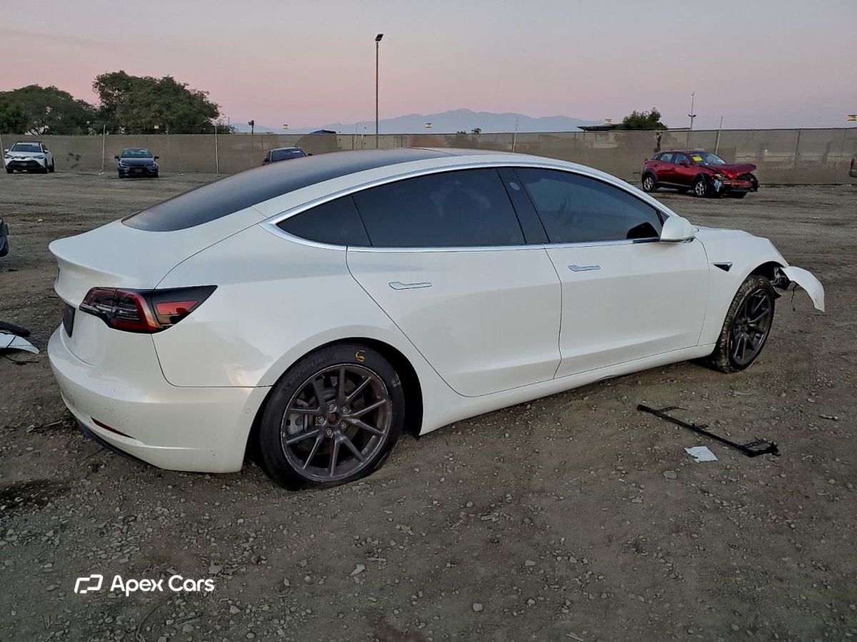 Tesla Model 3 2019