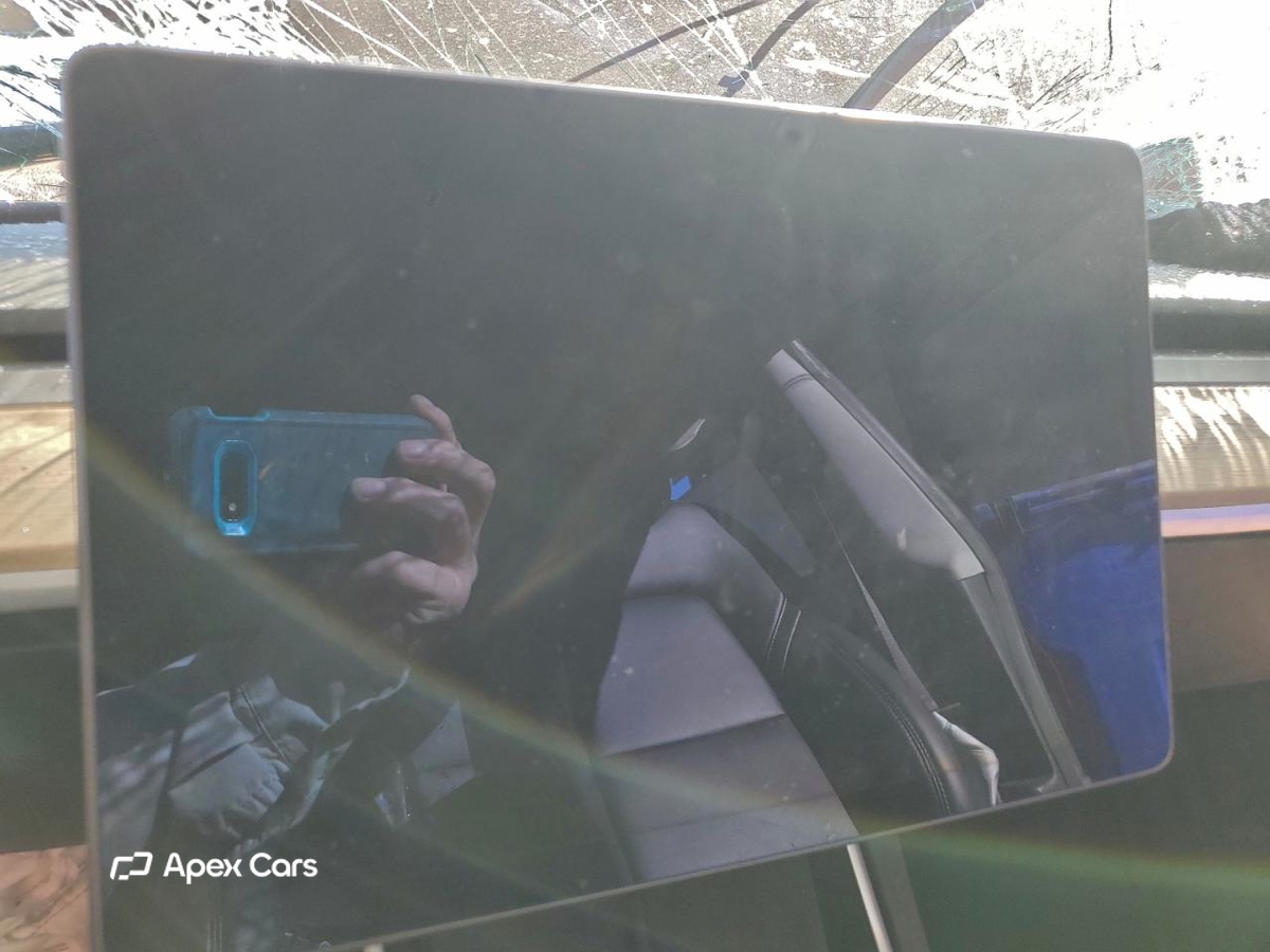 Tesla Model 3 2019