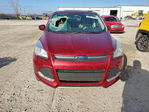 Ford Escape 2014