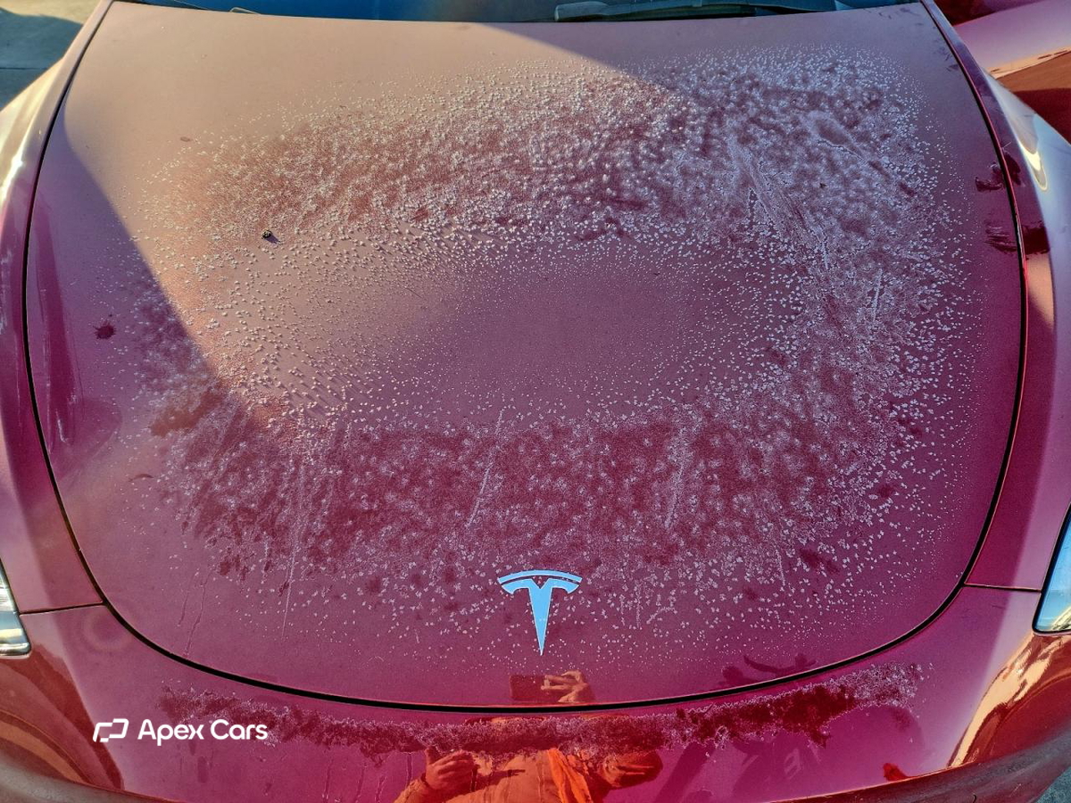 Tesla Model Y 2025