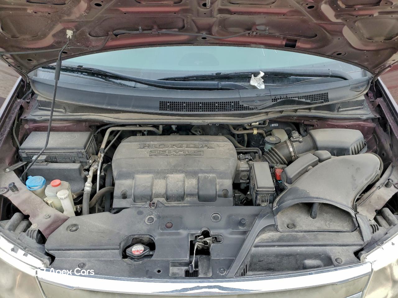 Honda Odyssey 2013