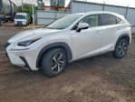Lexus NX 2019