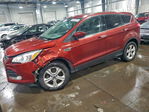 Ford Escape 2015