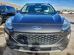Ford Escape 2020
