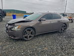 Nissan Maxima 2012