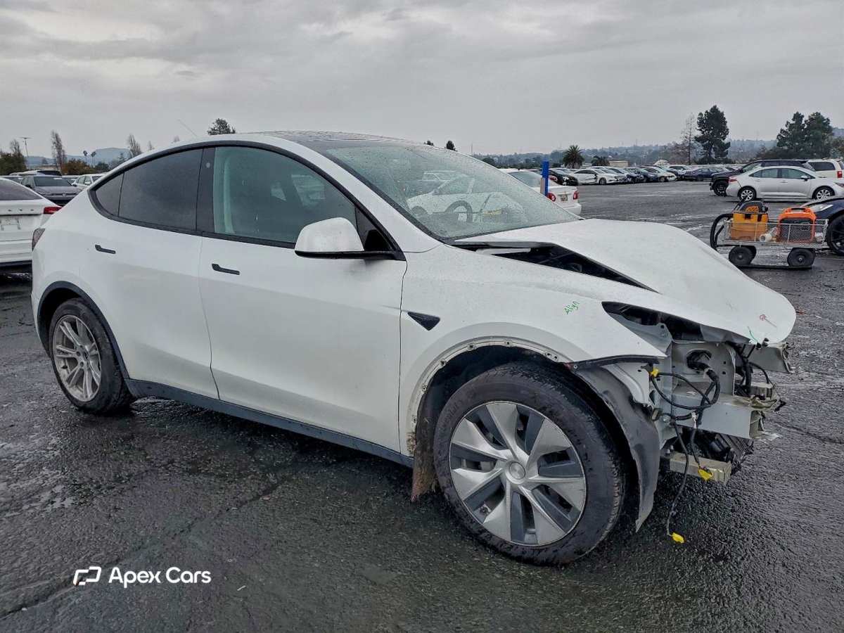 Tesla Model Y 2020