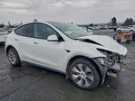 Tesla Model Y 2020