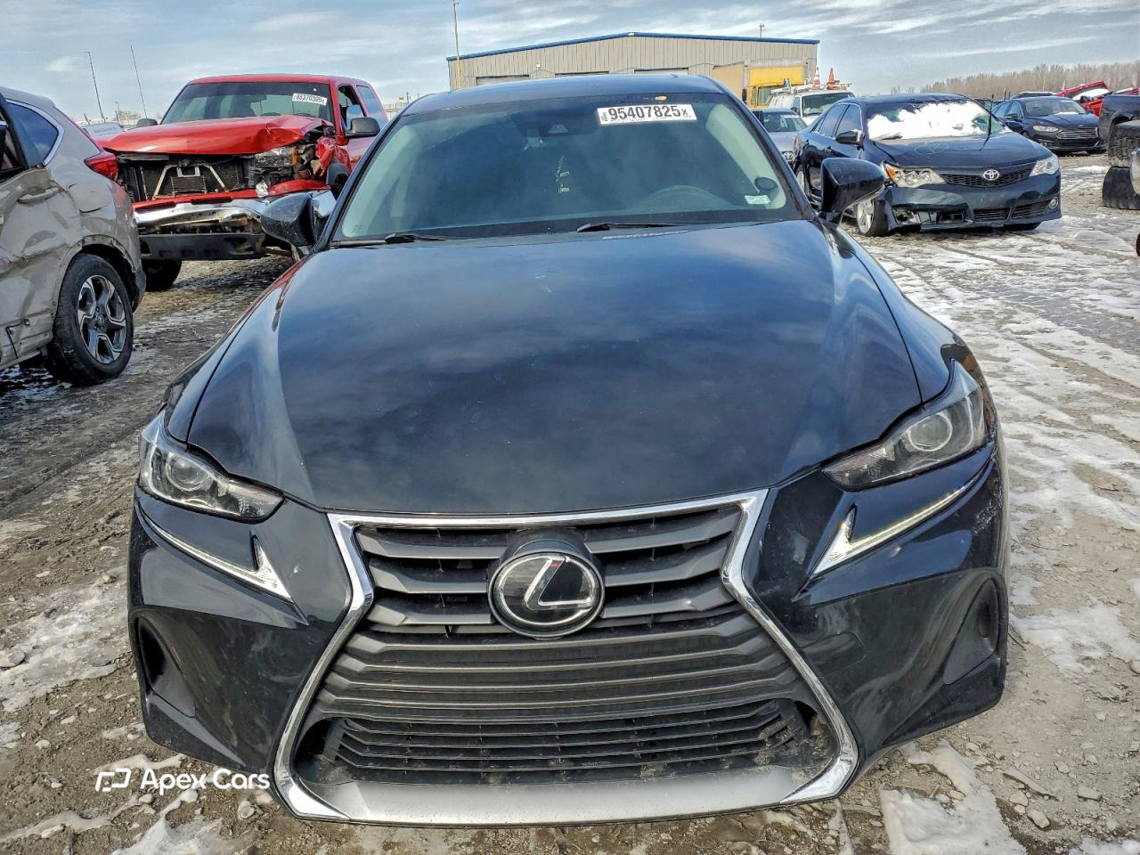 Lexus IS 2017