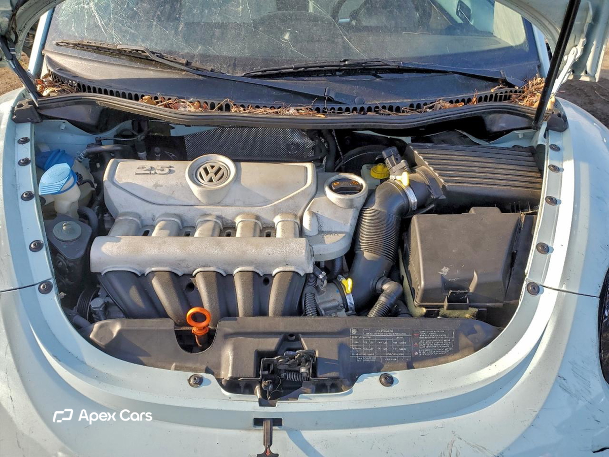 Volkswagen Beetle 2010