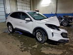 Ford Escape 2020