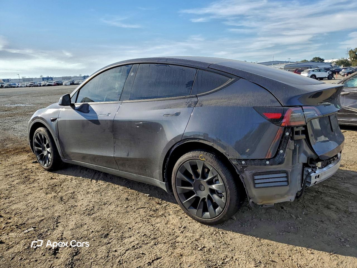 Tesla Model Y 2024