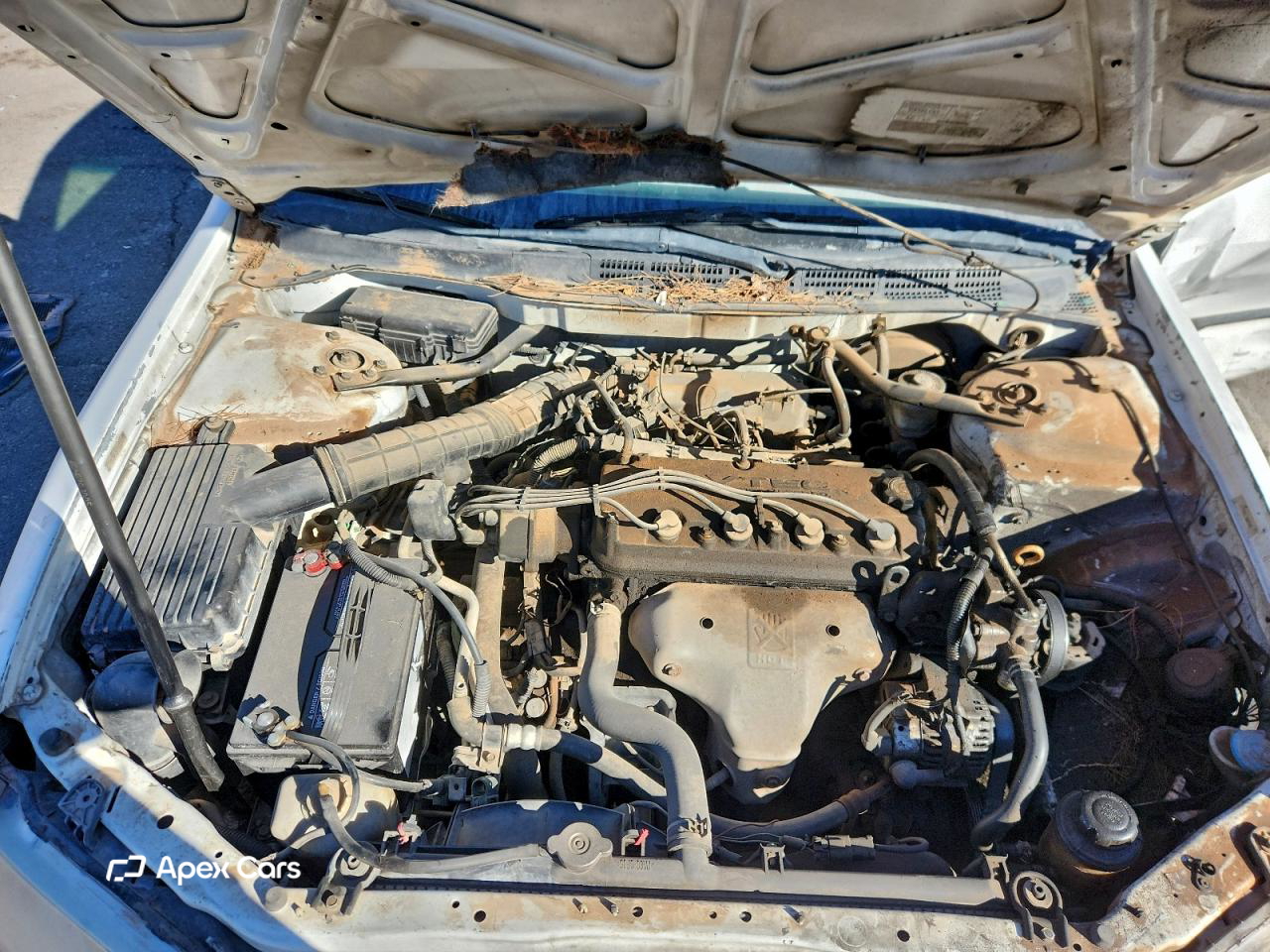 Honda Accord 2000