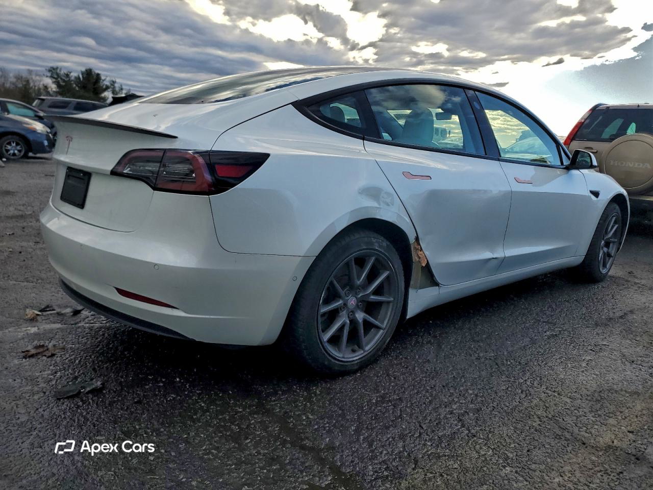 Tesla Model 3 2021