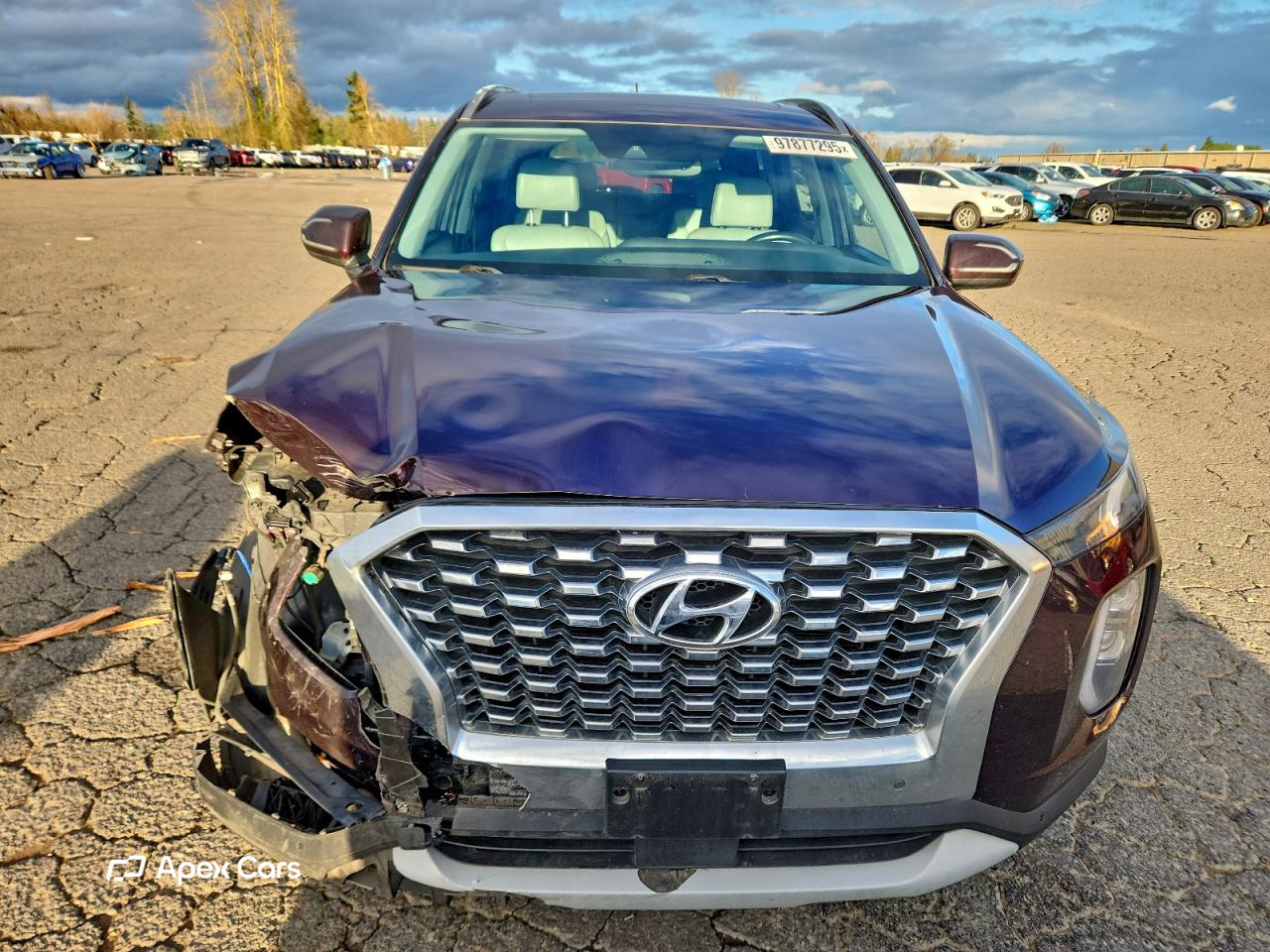 Hyundai Palisade 2020
