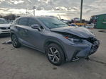 Lexus NX 2020