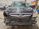 Subaru Forester 2015