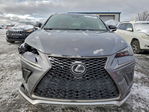 Lexus NX 2021