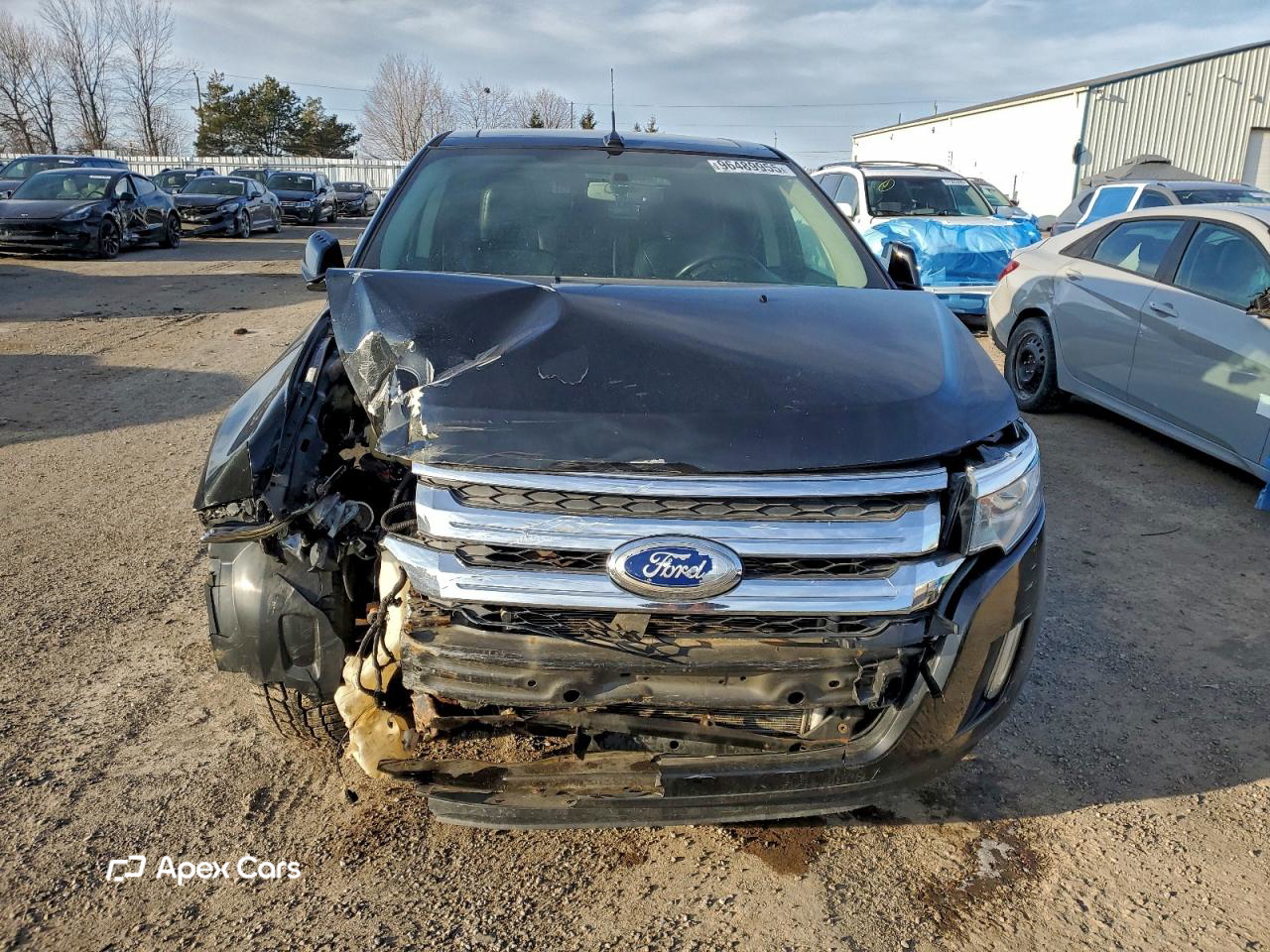 Ford Edge 2011
