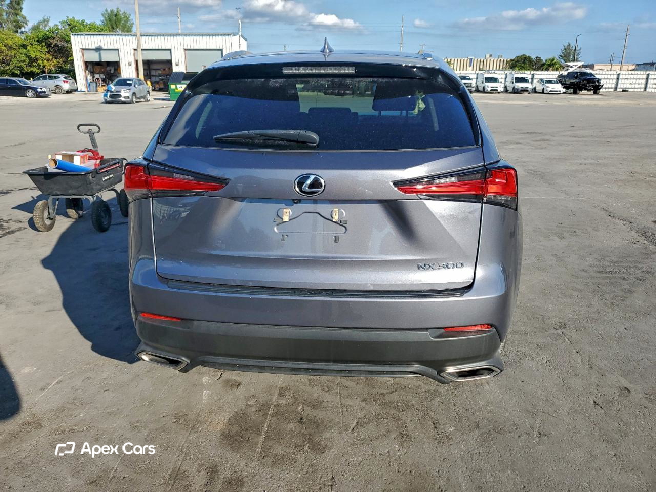 Lexus NX 2021