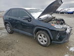 Toyota RAV 4 2021