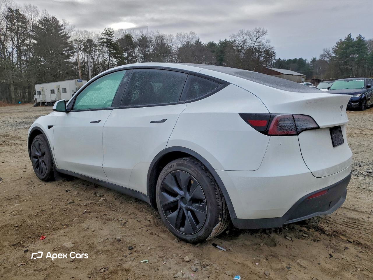 Tesla Model Y 2025