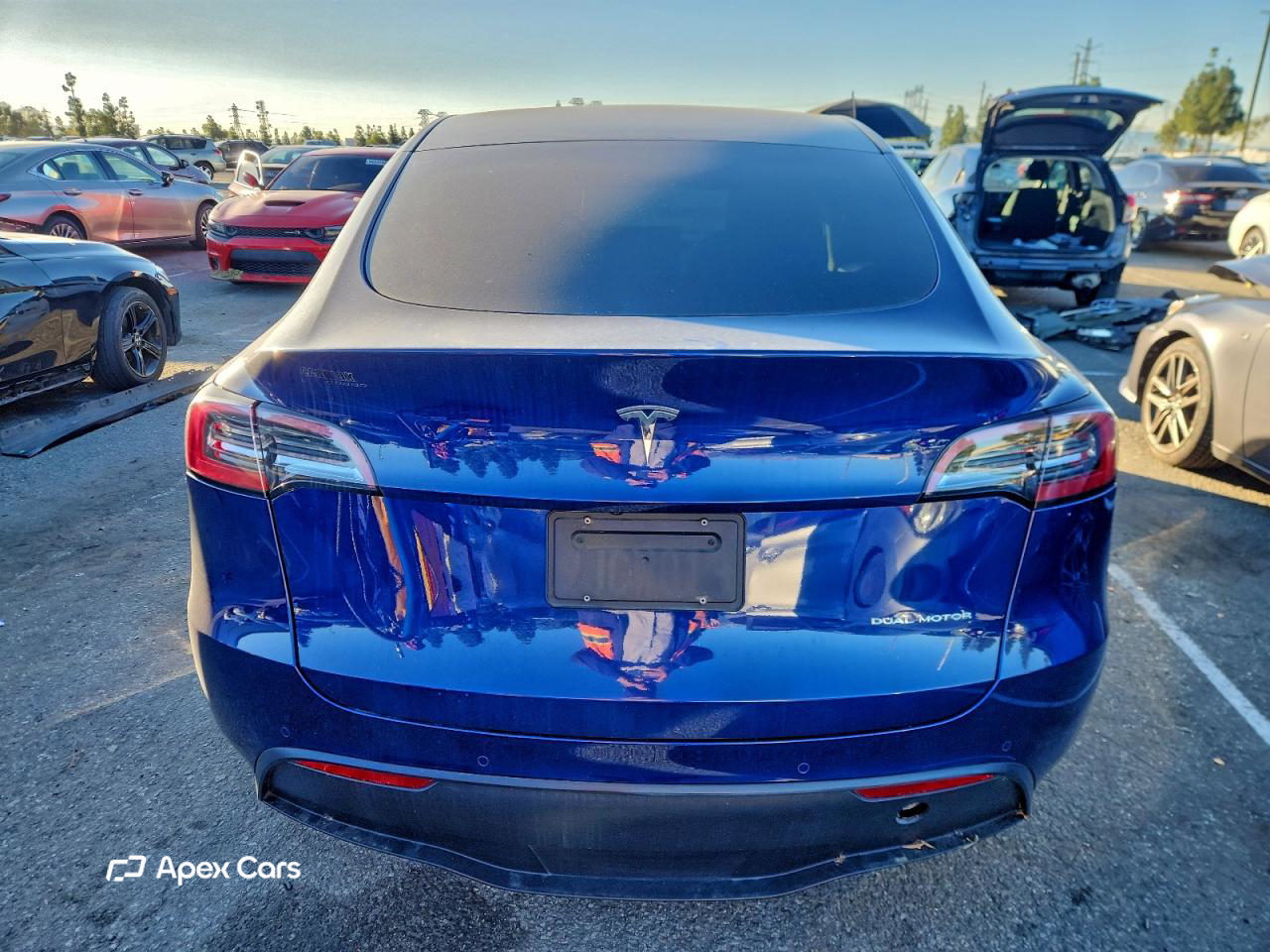 Tesla Model Y 2021