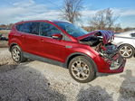 Ford Escape 2016
