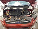 Ford Escape 2014