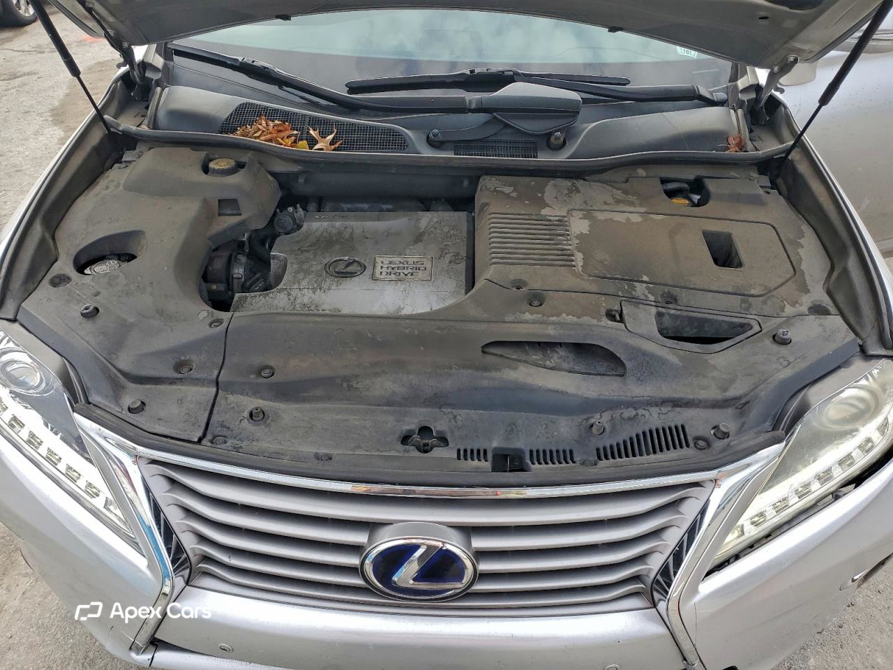 Lexus RX 2013